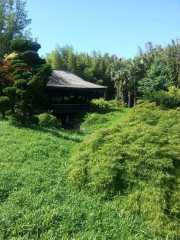 bambouseraie_18_06-38