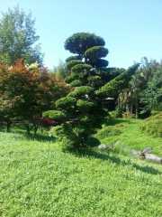 bambouseraie_18_06-39