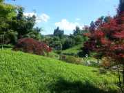 bambouseraie_18_06-48