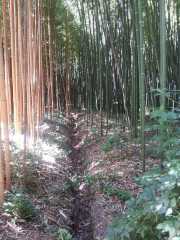 bambouseraie_18_06-55