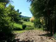 bambouseraie_18_06-59