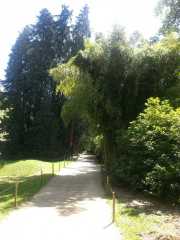 bambouseraie_18_06-60