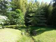 bambouseraie_18_06-62