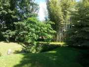 bambouseraie_18_06-63