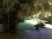 bambouseraie_18_06-65