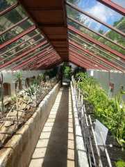 bambouseraie_18_06-69