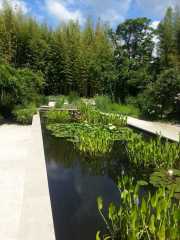 bambouseraie_18_06-72