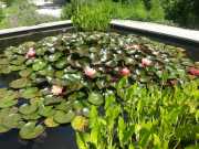 bambouseraie_18_06-73