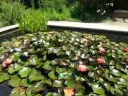 bambouseraie_18_06-74