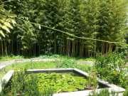 bambouseraie_18_06-75