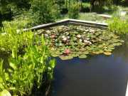 bambouseraie_18_06-79