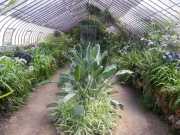 bambouseraie_18_06-81