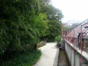 bambouseraie_18_06-86