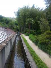 bambouseraie_18_06-87