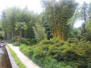 bambouseraie_18_06-88