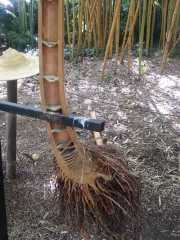 bambouseraie_18_06-9