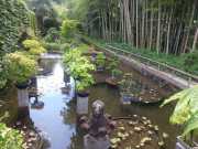 bambouseraie_18_06-90