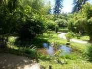 bambouseraie_18_06-94