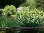 bambouseraie_18_06-97