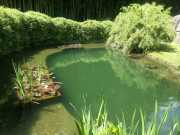 bambouseraie_18_06-98