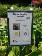 bambouseraie_18_06-99