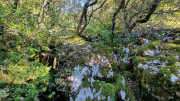 Corconne_24_11-108