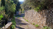 Corconne_24_11-145
