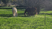 Corconne_24_11-149