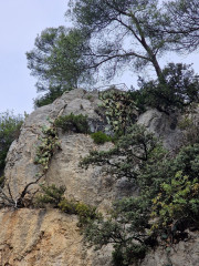 Gardon_24_09-10