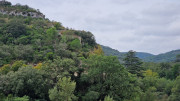Gardon_24_09-118