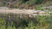 Gardon_24_09-141