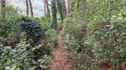 Gardon_24_09-146