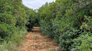 Gardon_24_09-163