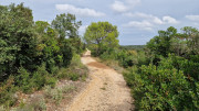 Gardon_24_09-169