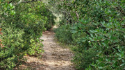 Gardon_24_09-184