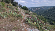 Gardon_24_09-197