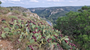 Gardon_24_09-199