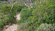 Gardon_24_09-231