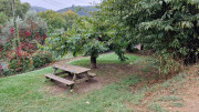 Gardon_24_09-4