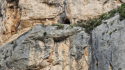 Gardon_24_09-44