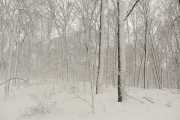 CabinFall_127