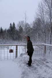 CabinFall_131
