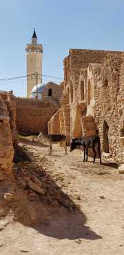Djerba_2019_03-26
