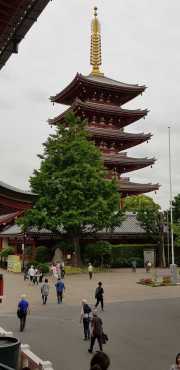 20190605_045842
