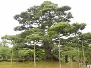 P1060538