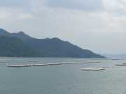 P1060589