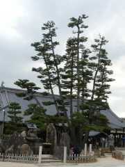 P1060651