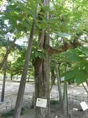 P1060714