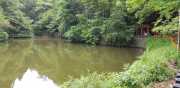 20190614_094917