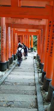 20190614_095558